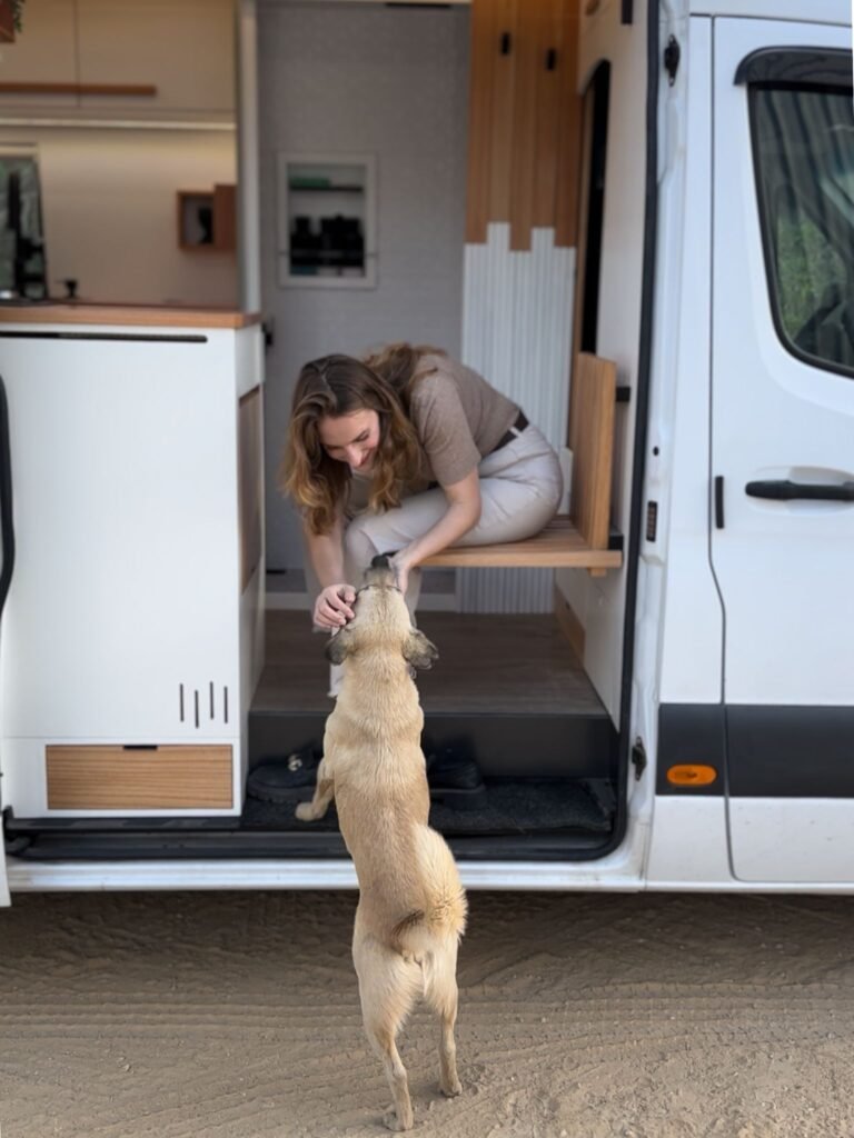 Motorhome Sprinter da UP! Motorhome com ana e o seu cachorrinho, demosntrando como viajar com pets no motorhome
